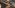 15 Best Sniper Rifles In Video Games