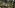 Indiana Jones and the Great Circle’s Post-Launch DLC Will be a “Narratively-Driven Unique Experience”