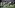Madden NFL 26 is Set for August 14 Release – Rumour