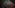 Post Trauma Review – The Silent Hills Have Eyes
