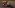 MotoGP 25 Review – Peak Bike Racing